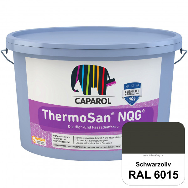 ThermoSan NQG (RAL 6015 Schwarzoliv) schmutzabweisende Siliconharz Fassadenfarbe mit Algen- und Pilz