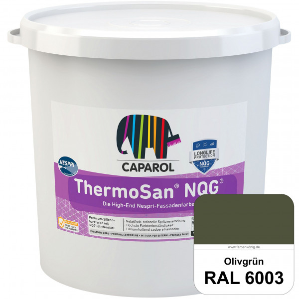 ThermoSan® NQG® Nespri (RAL 6003 Olivgrün) Siliconharz-Bindemittelkombination mit integrierter Nano-