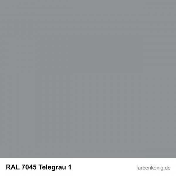 Objekt Fassadenfarbe (RAL 7045 Telegrau 1)