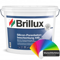 Silicon-Porenbetonbeschichtung 449 (Wunschfarbton)