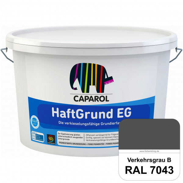 HaftGrund EG (RAL 7043 Verkehrsgrau B) haftvermittelnde Grundbeschichtung (innen & außen)