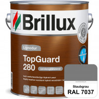 TopGuard 280 (RAL 7037 Staubgrau) wasserbasierte, wetterbeständige und seidenglänzende Hybridlasur (