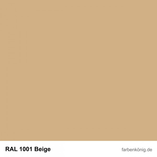 Objekt Fassadenfarbe (RAL 1001 Beige)