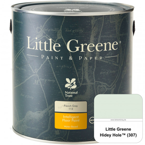 Intelligent Floor Paint (307 Hidey Hole)