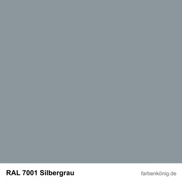 Objekt Fassadenfarbe (RAL 7001 Silbergrau)