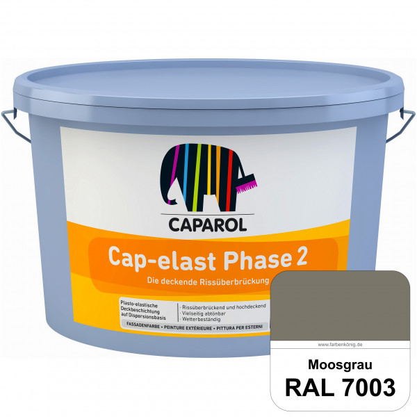 Cap-elast Phase 2 (RAL 7003 Moosgrau) Sanierung gerissener Putzfassaden und Betonflächen