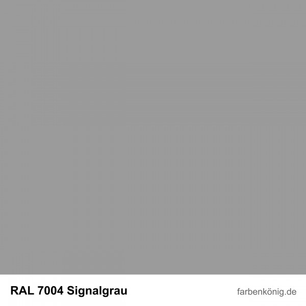 Objekt Fassadenfarbe (RAL 7004 Signalgrau)