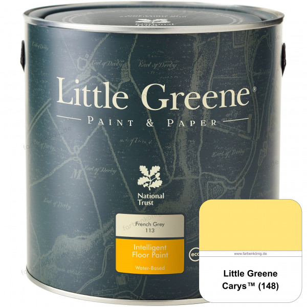 Intelligent Floor Paint (148 Carys)