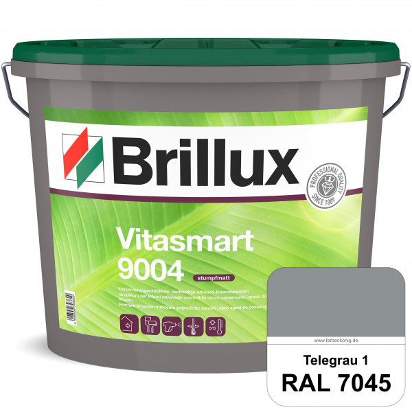 Vitasmart 9004 (RAL 7045 Telegrau 1) Hochwertige matte konservierungsmittelfreie Innendispersion für