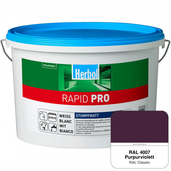 Rapid PRO (RAL 4007 Purpurviolett)