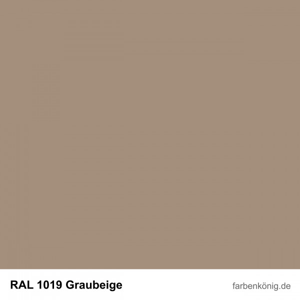 Objekt Fassadenfarbe (RAL 1019 Graubeige)