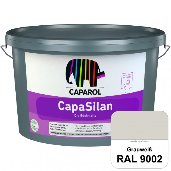 CapaSilan (RAL 9002 Grauweiß) Innenfarbe auf Siliconharzbasis bei starkem Streiflicht