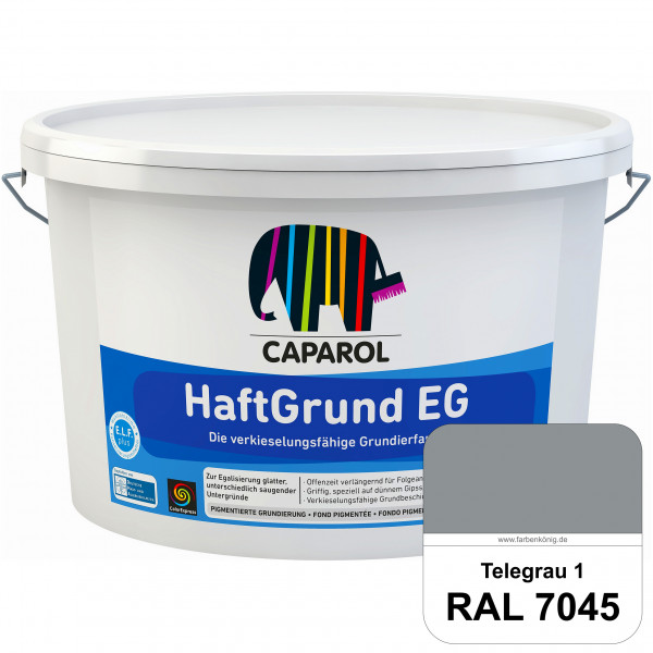 HaftGrund EG (RAL 7045 Telegrau 1) haftvermittelnde Grundbeschichtung (innen & außen)