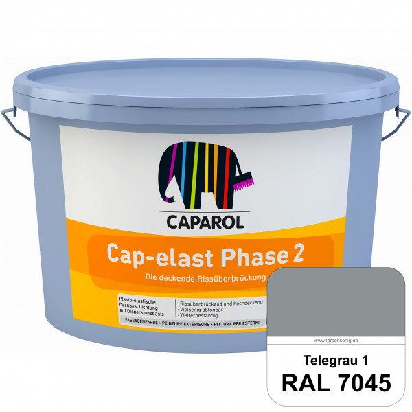 Cap-elast Phase 2 (RAL 7045 Telegrau 1) Sanierung gerissener Putzfassaden und Betonflächen