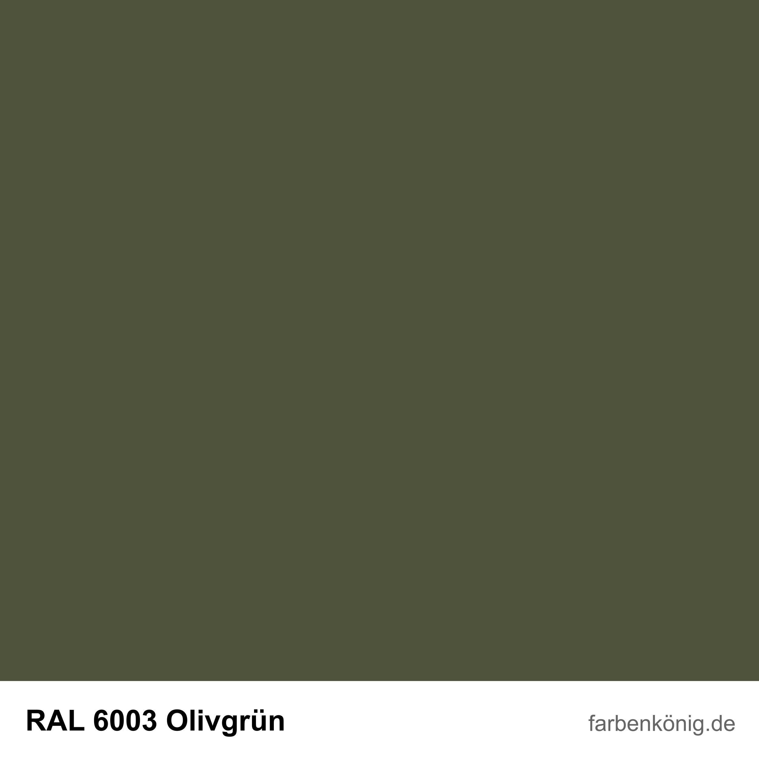 RAL6003