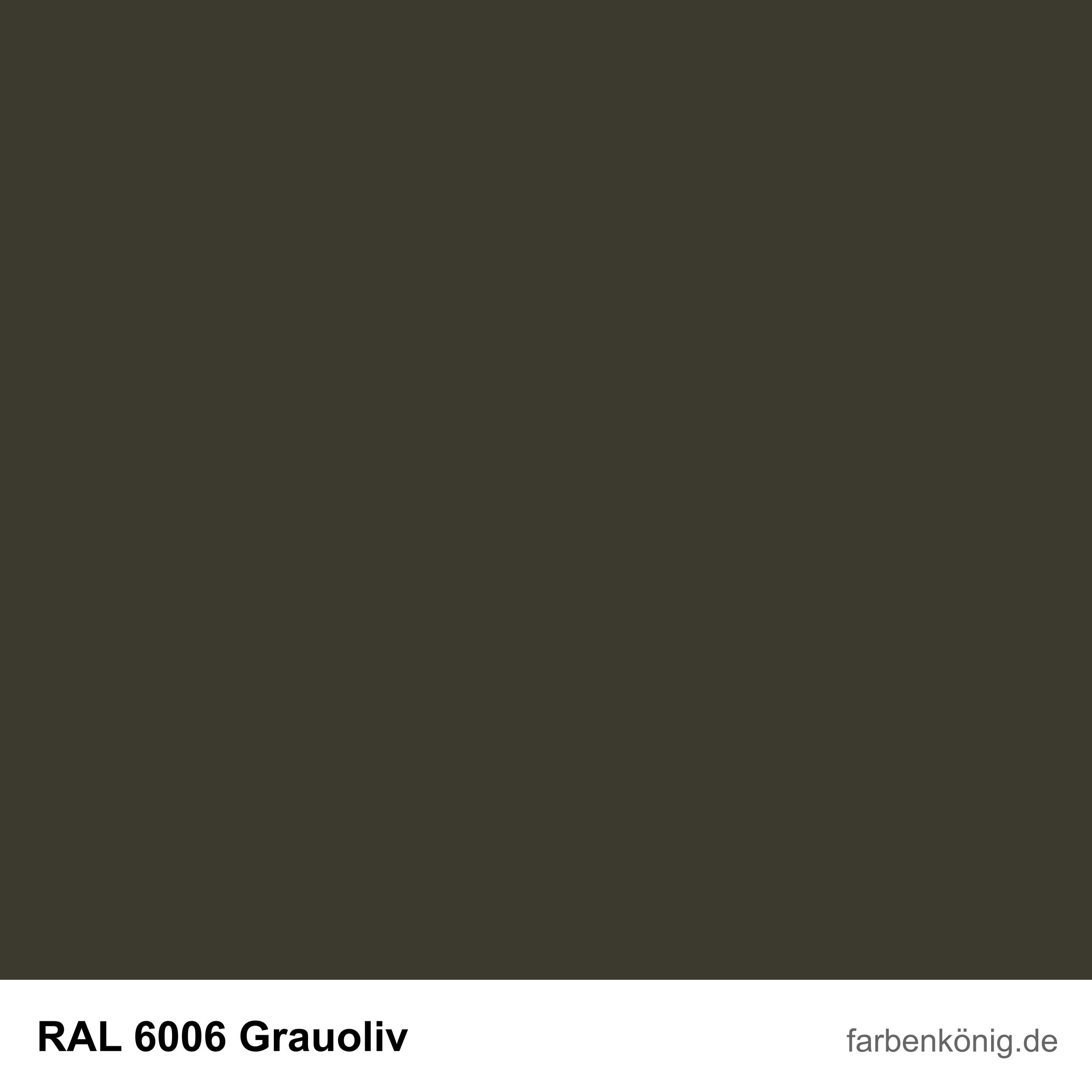RAL6006