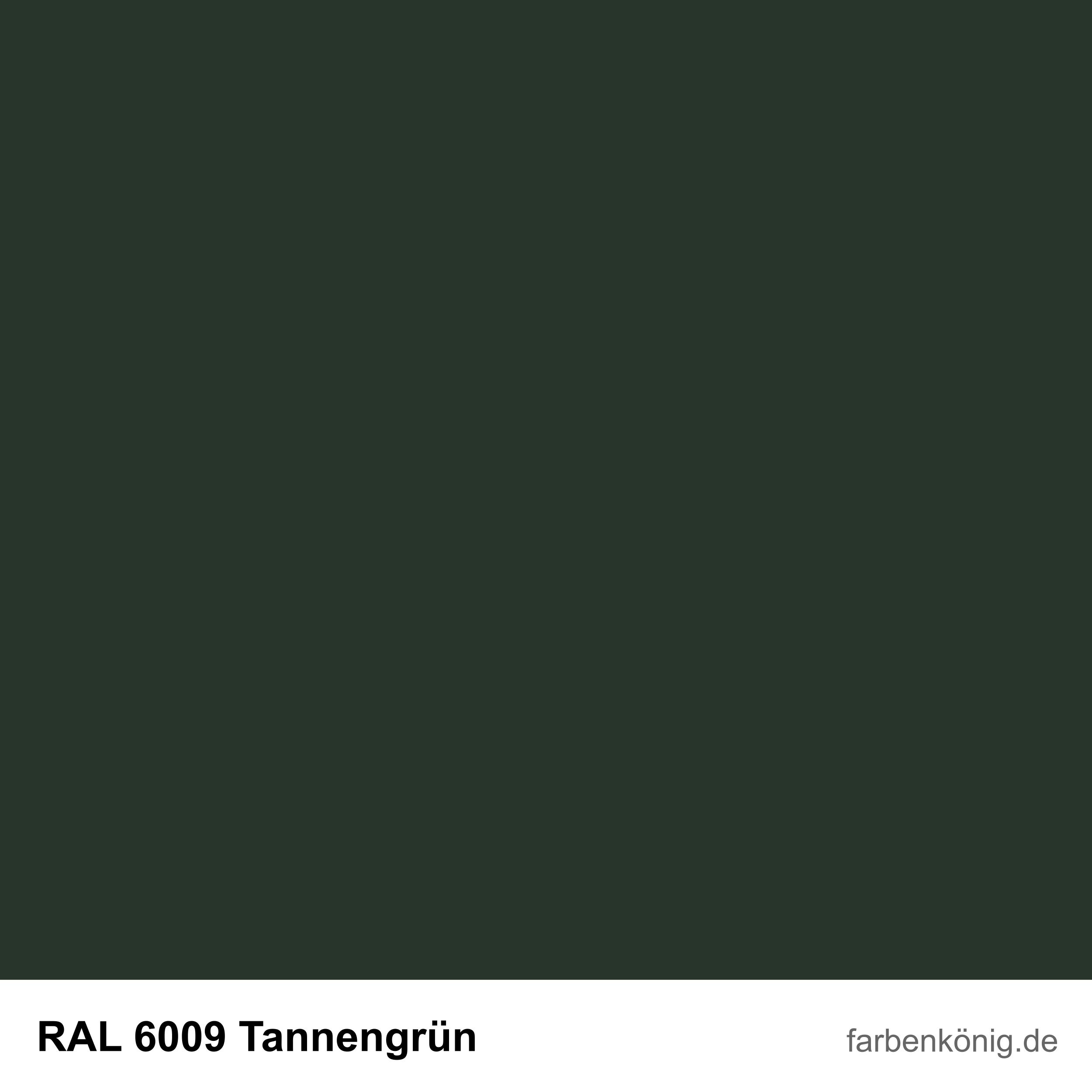 RAL6009