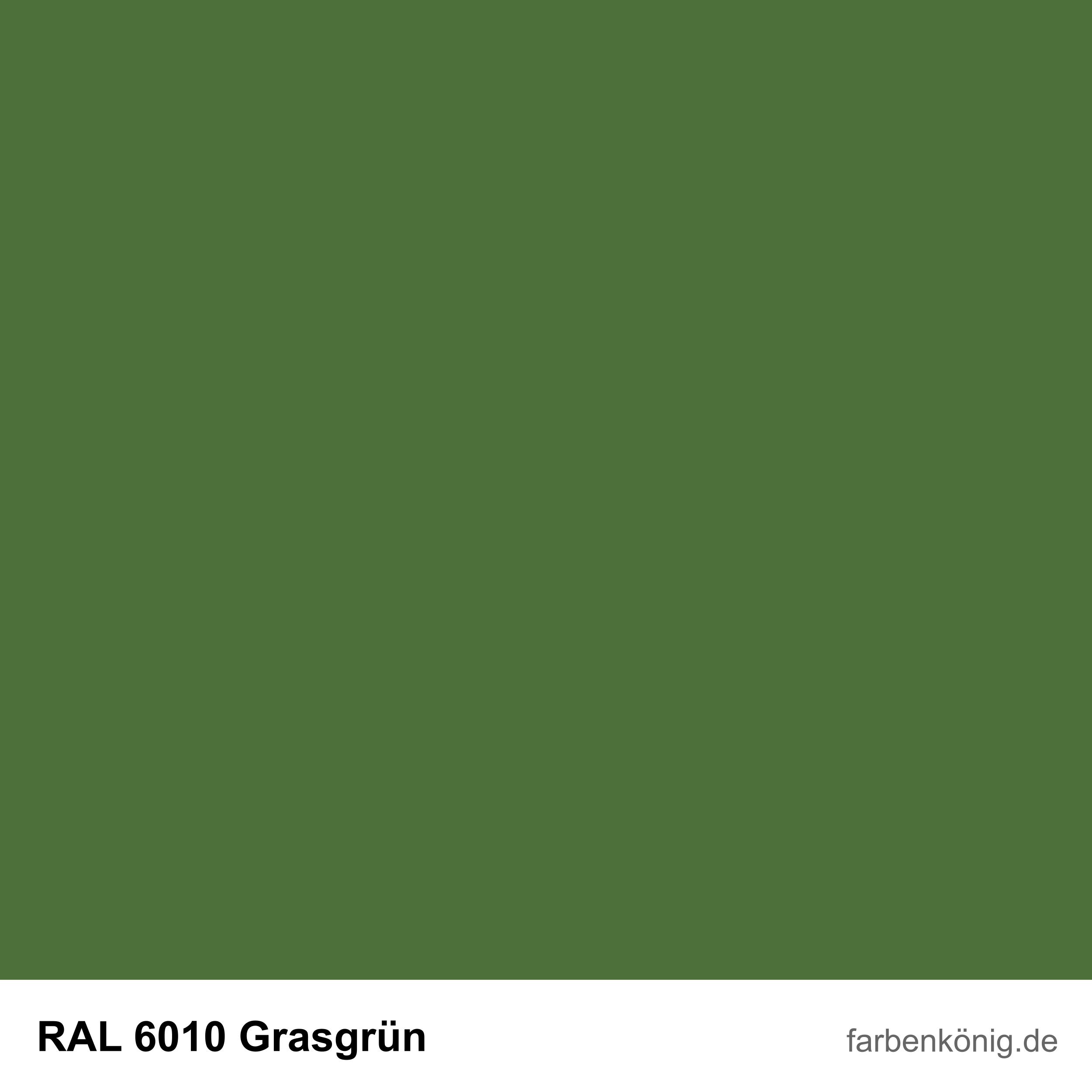 RAL6010