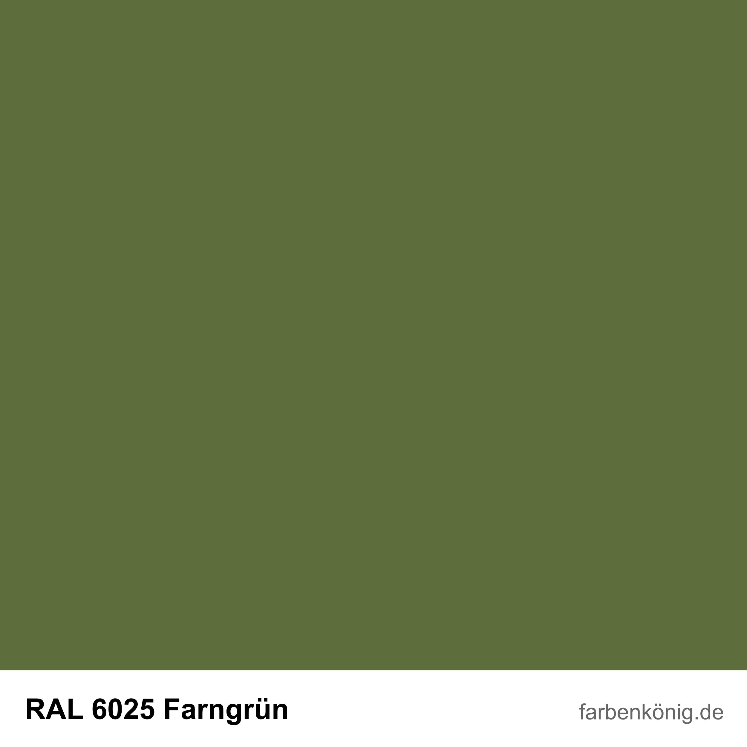 RAL6025