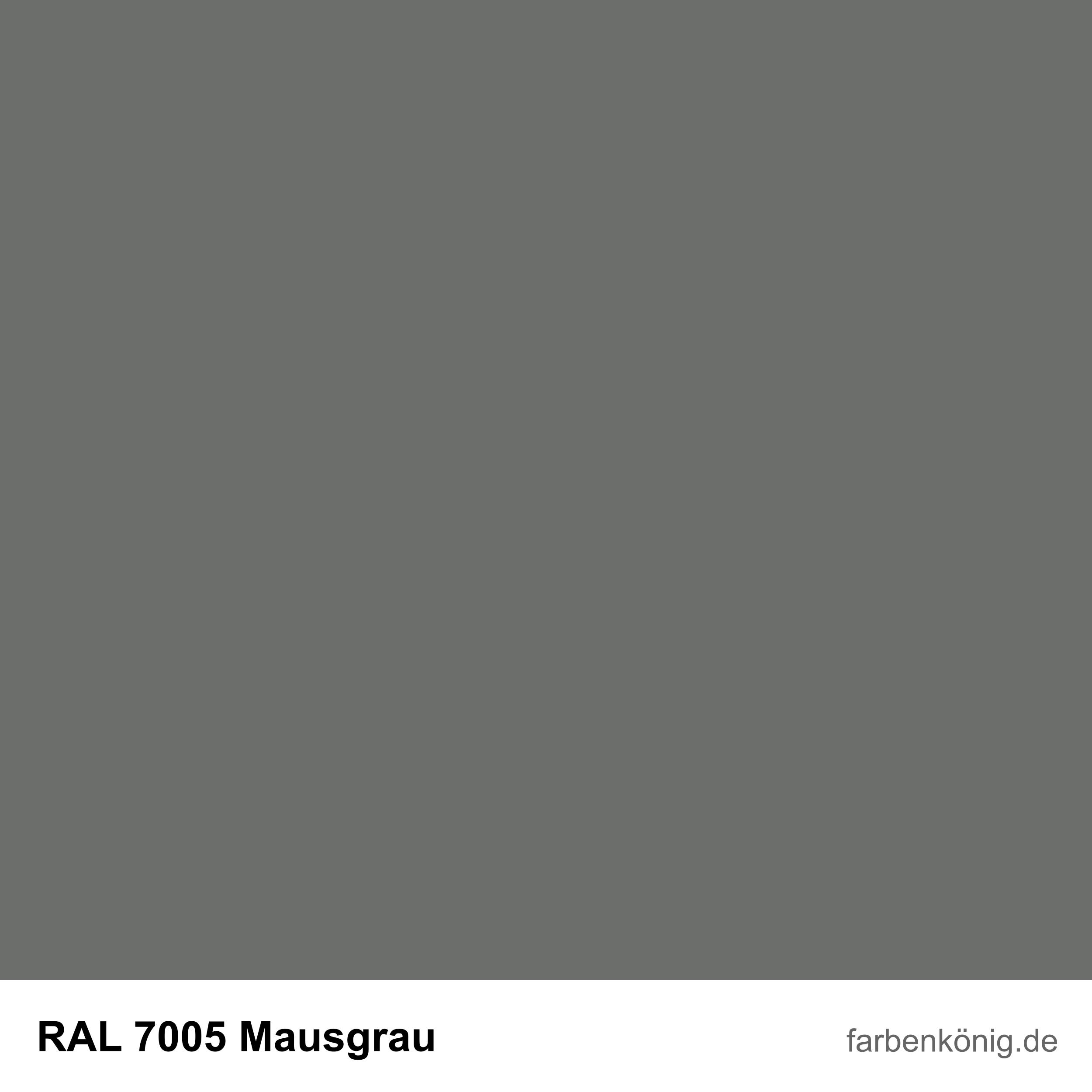 RAL7005