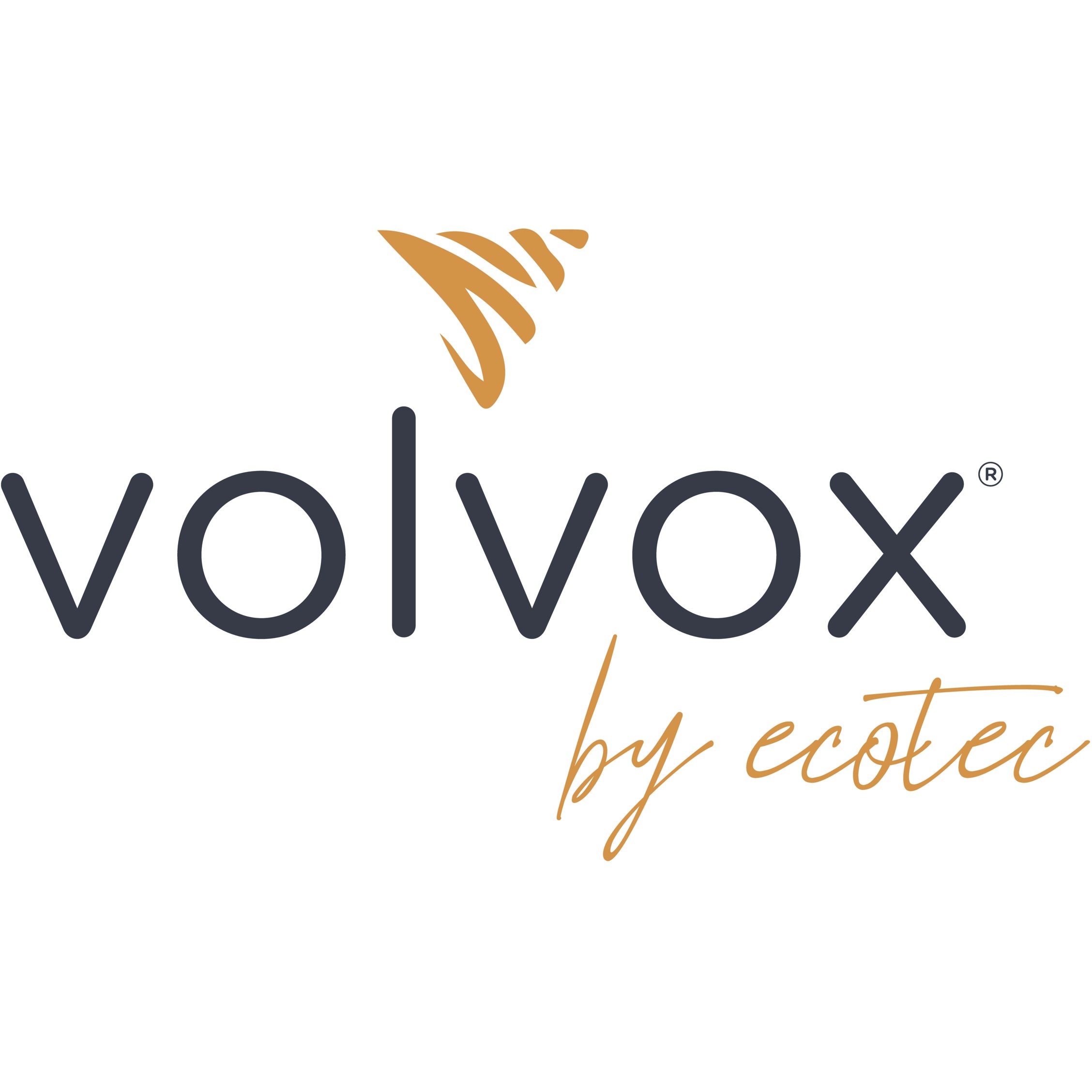 Volvox