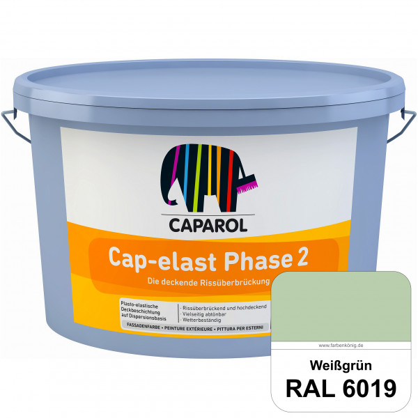 Cap-elast Phase 2 (RAL 6019 Weißgrün) Sanierung gerissener Putzfassaden und Betonflächen
