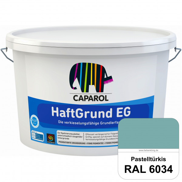 HaftGrund EG (RAL 6034 Pastelltürkis) haftvermittelnde Grundbeschichtung (innen & außen)