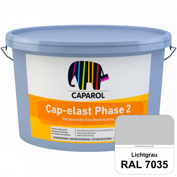 Cap-elast Phase 2 (RAL 7035 Lichtgrau) Sanierung gerissener Putzfassaden und Betonflächen