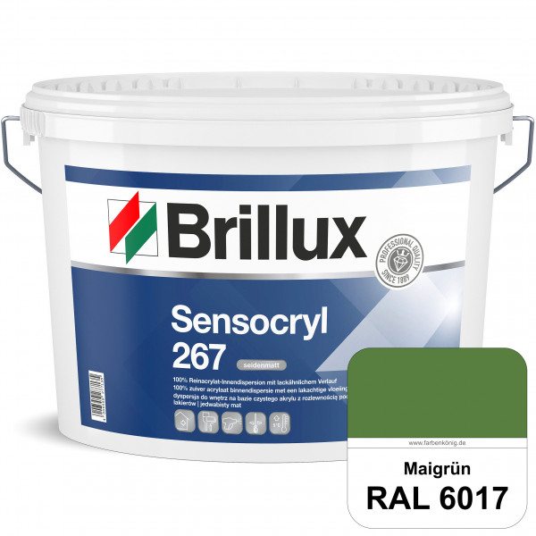 Sensocryl ELF 267 (RAL 6017 Maigrün) seidenmatt hochwertige Reinacrylat-Innendispersion für Artzprax