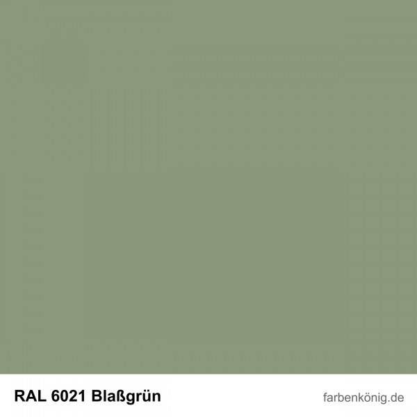 Objekt Fassadenfarbe (RAL 6021 Blassgrün)