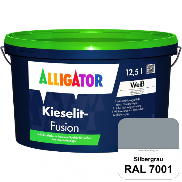 Kieselit Fusion (RAL 7001 Silbergrau)