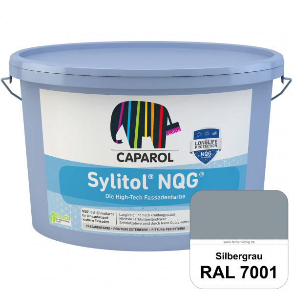 Sylitol® NQG (RAL 7001 Silbergrau) Dispersions-Silikatfarbe High-Tech-Fassadenfarbe